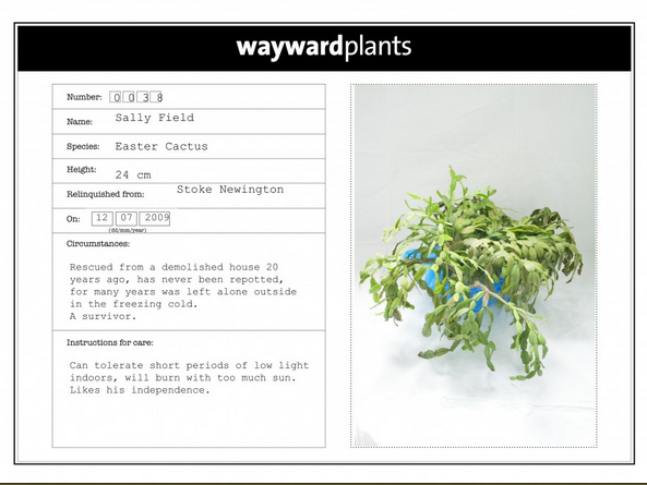 plant adoption card