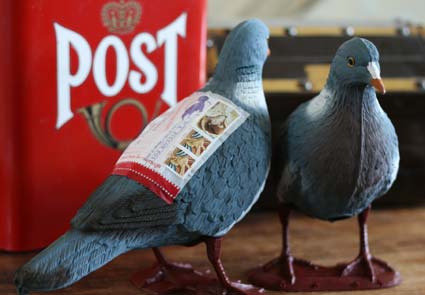 pigeon-post