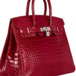 crocodile birkin