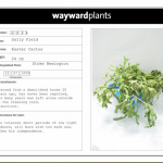 Wayward Plants