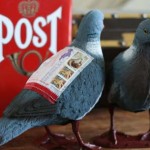 Pigeon Post