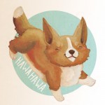 hawahawa corgis